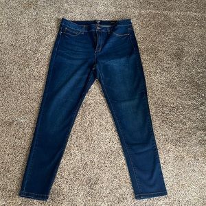 Jones New York Essex Skinny Jeans